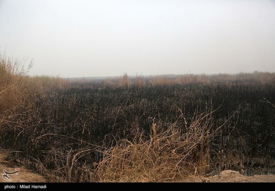 بازدید استاندار خوزستان از تالاب هورالعظیم و نقطه صفر مرزی