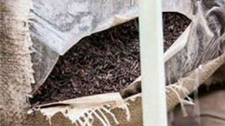 کشف ۹۰ میلیارد ریالی چای قاچاق در جنوب تهران