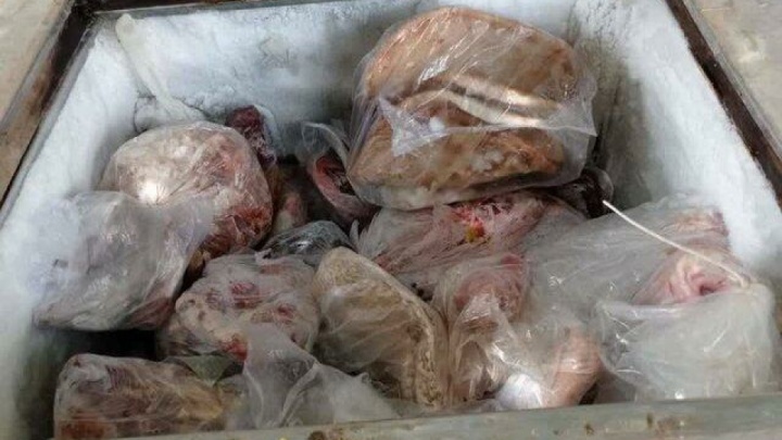 کشف لاشه چندین قلاده گراز و الاغ وحشی در منزلی در شهر زیارتعلی کرمان