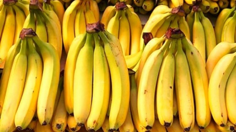 شرایط واردات موز در برابر صادرات برخی اقلام میوه اعلام شد/ هر ۱.۵ کیلو سیب، یک کیلو موز