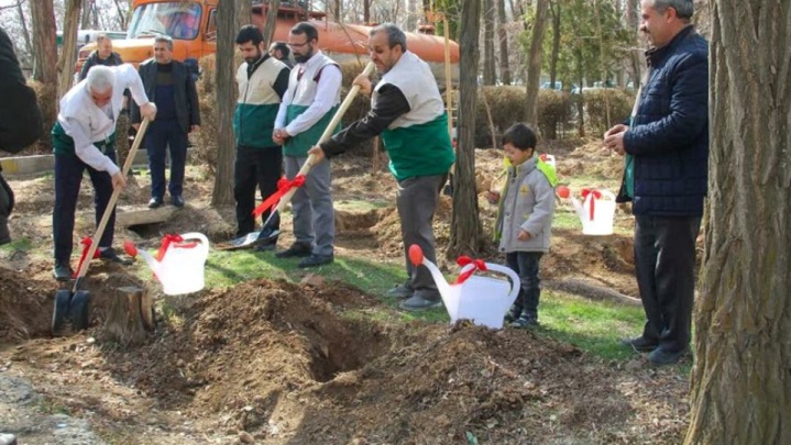 درختان؛ راهکاری سبز برای حفظ نبض زمین