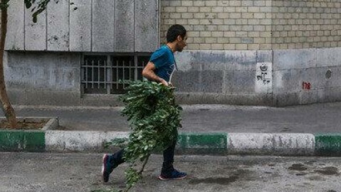 گرما و باد و خاک در پایتخت