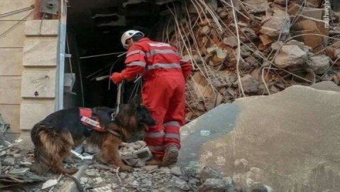 ۵۱ قلاده در ۲۵۵ عملیات تخصصی شرکت کردند