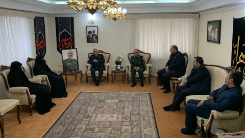 دیدار معاون رئیس جمهور با خانواده «سردار شهید حسین سلامی»