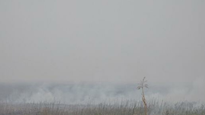 انتشار دود از ۲۵ هزار هکتار از تالاب هورالعظیم/ ارائه طرح مدیریت هور به دولت