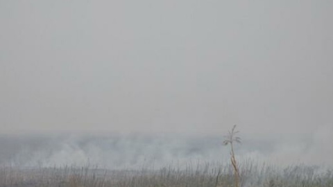 انتشار دود از ۲۵ هزار هکتار از تالاب هورالعظیم/ ارائه طرح مدیریت هور به دولت