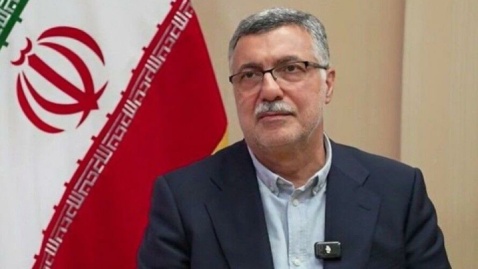 پیگیری وضعیت مصدومان حادثه واژگونی اتوبوس در استان فارس از سوی وزیر بهداشت