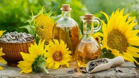 تولید پایدار دانه‌های روغنی با تکیه بر دانش بومی و معرفی ارقام جدید