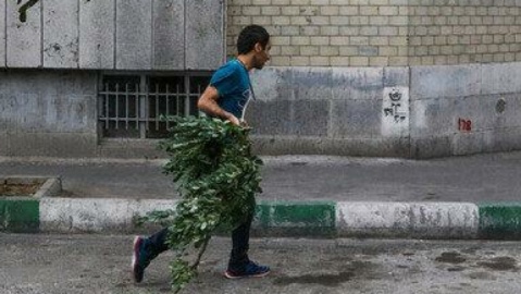 وزش تندباد لحظه‌ای در تهران/ ماندگاری هوای گرم طی هفته آینده