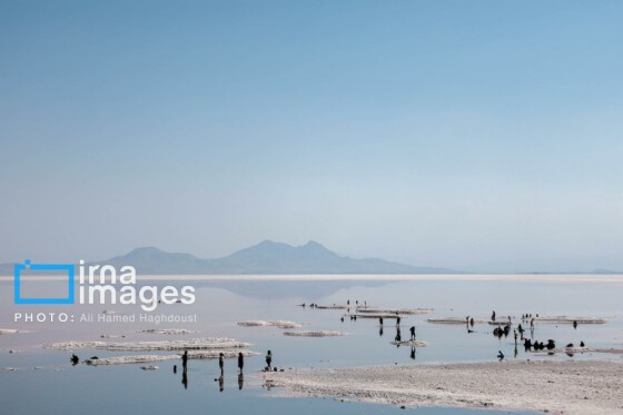 شنا در ارومیه «نیمهجان»