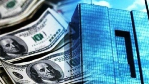 میزان تامین ارز واردات امسال از ۱۵.۳ میلیارد دلار عبور کرد