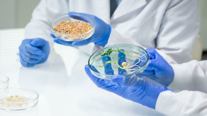 کشاورزی هوشمند راهی برای داشتن محصولات مقاوم در برابر تغییرات اقلیمی