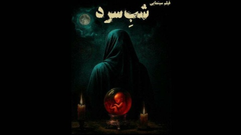 «شب سرد» محصول مشترک ایران و فرانسه شد