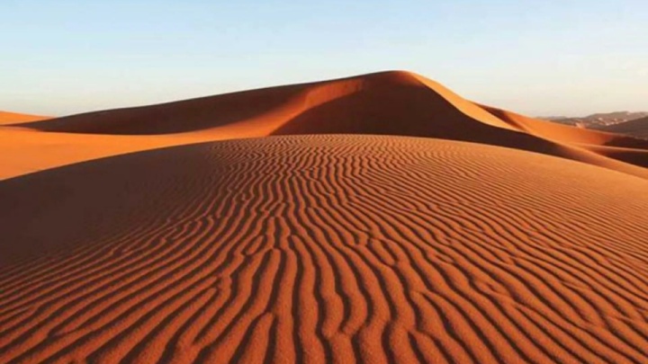 «لوت» در خطر است!