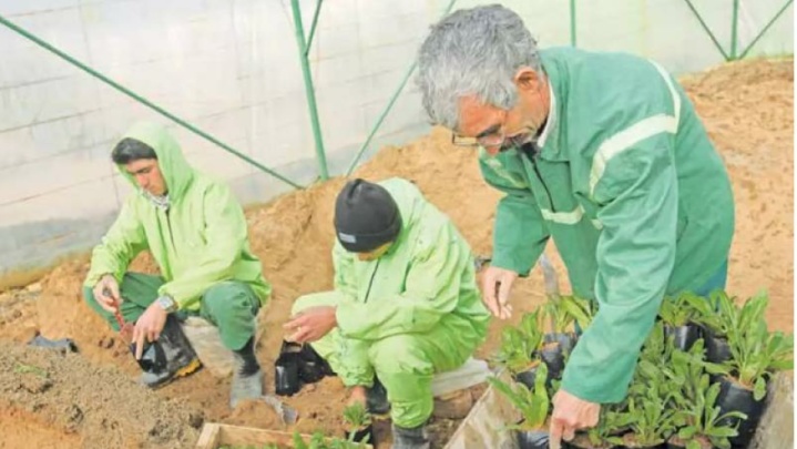 فرصت طلایی برای کارگران ایرانی