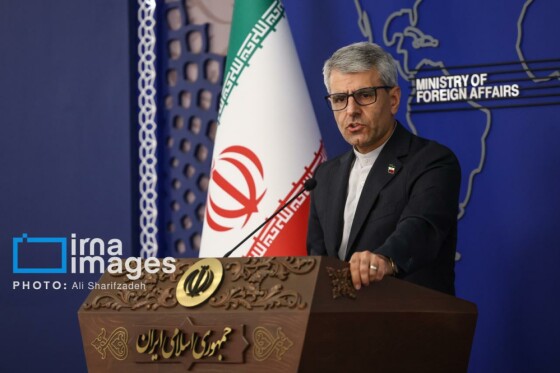 نشست خبری سخنگوی وزارت امور خارجه