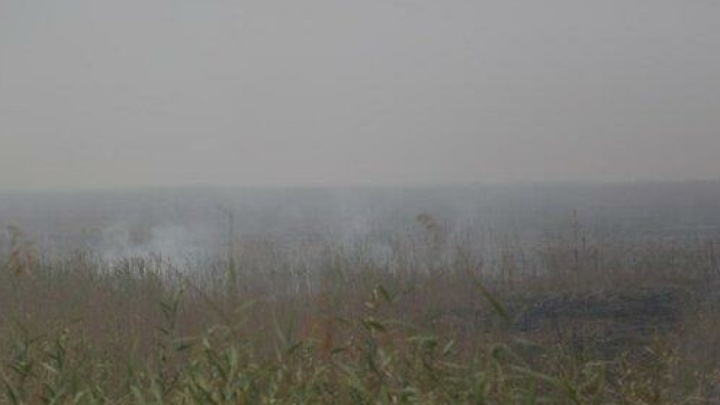 اعزام هواپیمای آب‌پاش ایرانی برای مهار آتش‌سوزی بخش عراقی هورالعظیم