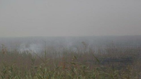 اعزام هواپیمای آب‌پاش ایرانی برای مهار آتش‌سوزی بخش عراقی هورالعظیم