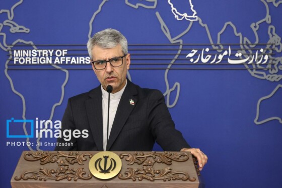 نشست خبری سخنگوی وزارت امور خارجه