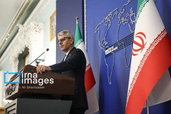 نشست خبری سخنگوی وزارت امور خارجه