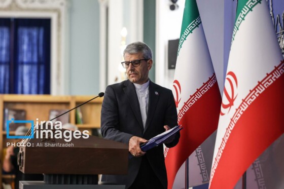 نشست خبری سخنگوی وزارت امور خارجه