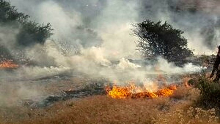 بحران در جنگل ابر؛ آتش به جان ۳۵ هکتار از ذخیره‌گاه جنگل هیرکانی افتاد