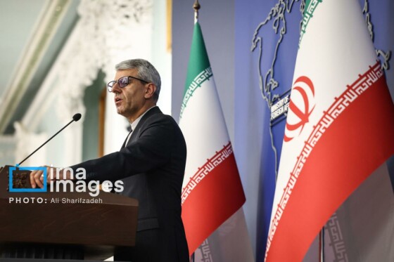 نشست خبری سخنگوی وزارت امور خارجه