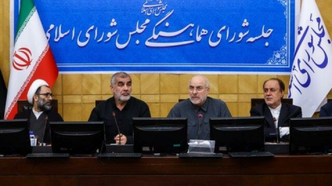 تاکید رئیس مجلس بر همراهی قوا برای حل مشکلات کشور