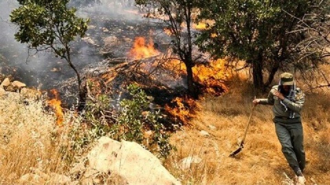 اعزام ۸۰ نیروی آتش‌نشان برای مهار آتش جنگل ابر شاهرود