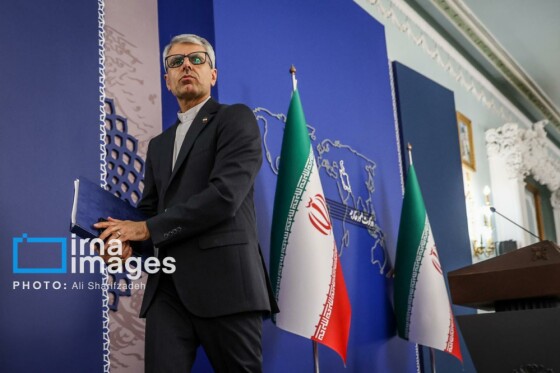 نشست خبری سخنگوی وزارت امور خارجه