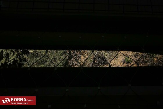 تهران ، ۴۰ درجه سانتیگراد