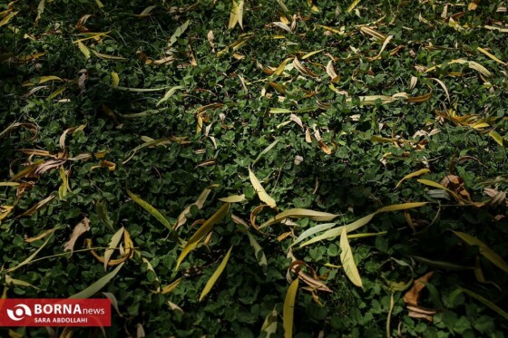 تهران ، ۴۰ درجه سانتیگراد