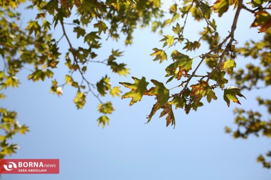 تهران ، ۴۰ درجه سانتیگراد