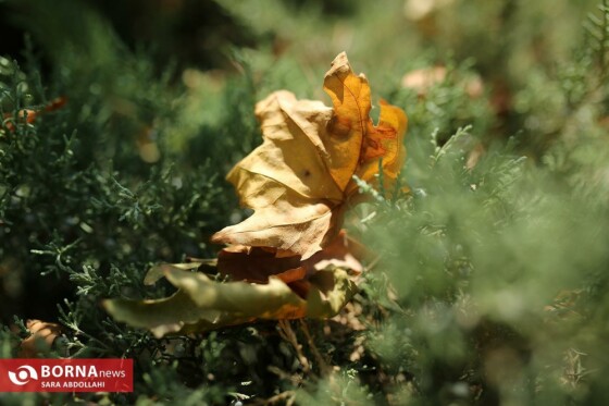 تهران ، ۴۰ درجه سانتیگراد
