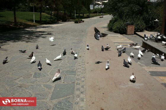 تهران ، ۴۰ درجه سانتیگراد