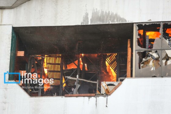 آتش سوزی در منطقه آزاد انزلی