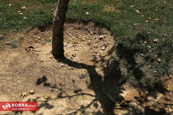 تهران ، ۴۰ درجه سانتیگراد