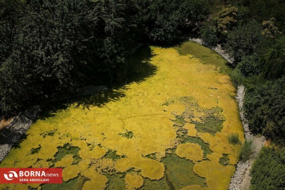 تهران ، ۴۰ درجه سانتیگراد