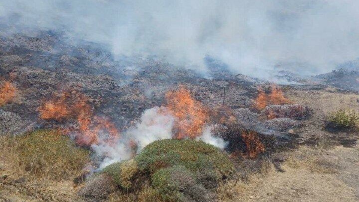 علت وقوع حریق جنگل ابر شاهرود در دست بررسی است