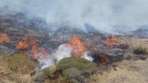 علت وقوع حریق جنگل ابر شاهرود در دست بررسی است