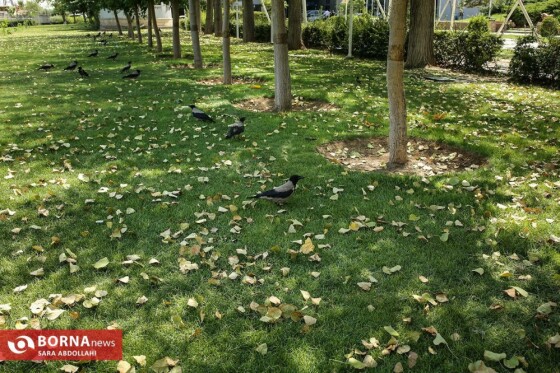 تهران ، ۴۰ درجه سانتیگراد