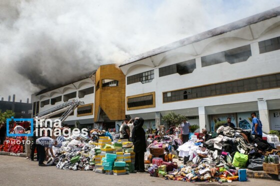 آتش سوزی در منطقه آزاد انزلی