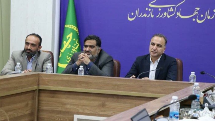 معاون وزیر جهاد کشاورزی: شالیکاران نگران قیمت برنج در بازار نباشند