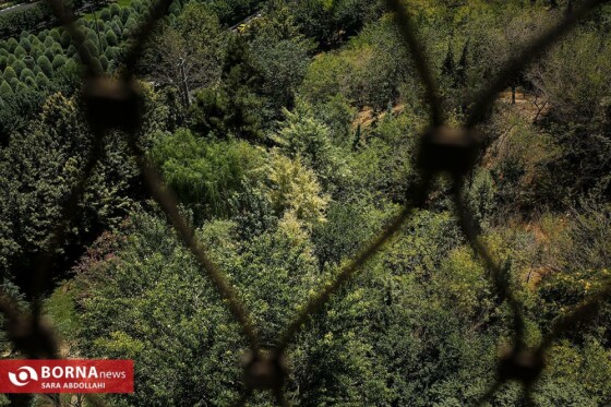 تهران ، ۴۰ درجه سانتیگراد