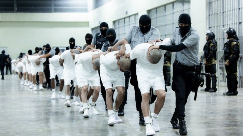 ثبت ۱۲۳ مورد شکایت از نقض حقوق بشر علیه مهاجران