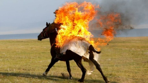 گزارش تصویری/ جهان در روزی که گذشت...