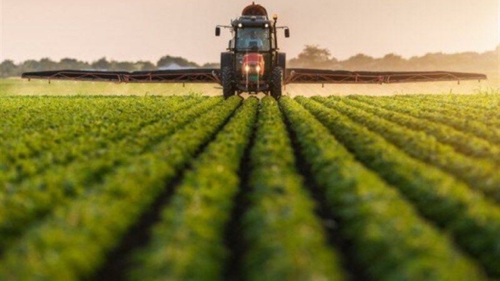 معاون وزیر جهاد کشاورزی: اجرای موفق الگوی کشت نیازمند همگرایی دستگاه‌هاست