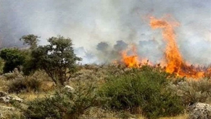 مصدومیت ۵ نفر در آتش‌سوزی وسیع آبیدر سنندج؛ حال ۲ نفر وخیم شد