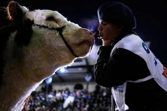 بوئنوس آیرس، آرژانتین