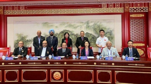 ریاست کارگروه مرتبط با بازیهای ووشو آسیا به علینژاد رسید